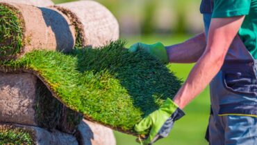 Transform Your Landscape