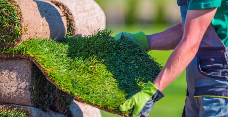 Transform Your Landscape