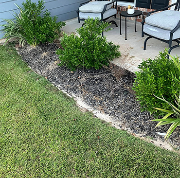 Before Flowerbed Clean-Up Before Flowerbed Clean-Up