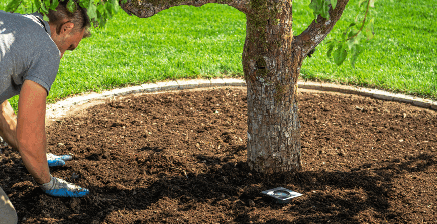 Choosing the Right Mulch for Your Garden