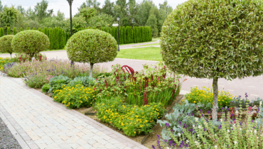 Creative Landscaping Ideas to Transform Your Outdoor Space