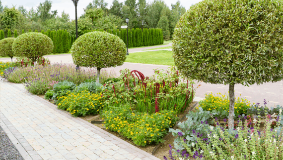 Creative Landscaping Ideas to Transform Your Outdoor Space