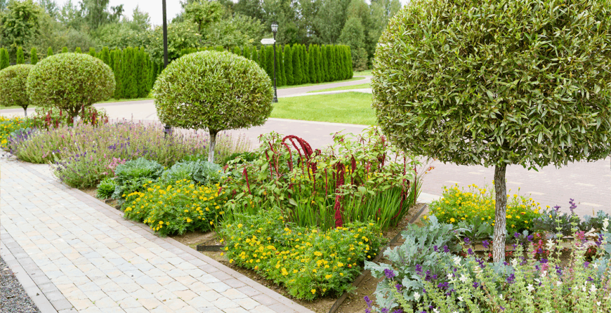 Creative Landscaping Ideas to Transform Your Outdoor Space