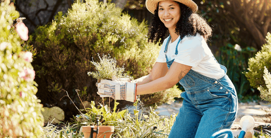 Lawn Care Tips for Southeast Louisiana