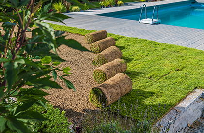 Landscaping 1 Landscaping 1