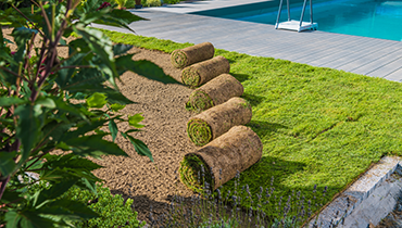 Landscaping