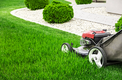 Lawn and Garden Care Service Page2 Lawn and Garden Care Service Page2