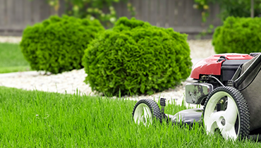 Lawn and Garden Care