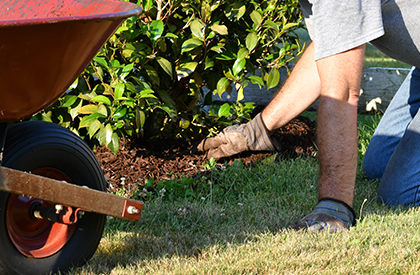 Mulch Installation 1 Mulch Installation 1