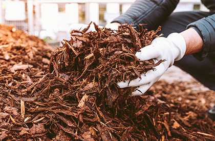 Mulch Installation 2 Mulch Installation 2