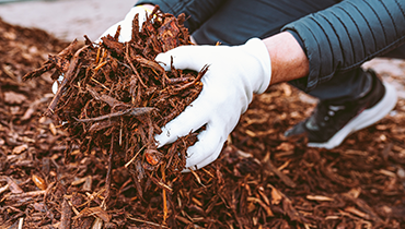 Mulch Installation