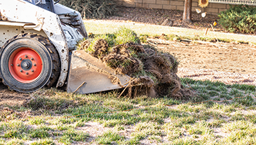 Planting & Removal