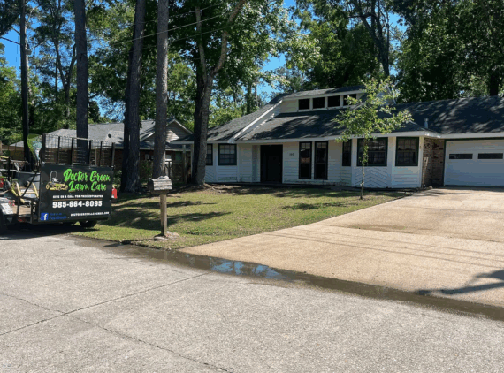 Revitalizing Your Lawn- Spring Clean-Up Project Featured Image