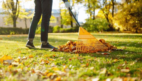 Seasonal Lawn Maintenance