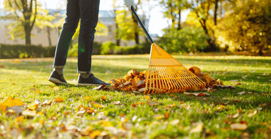 Seasonal Lawn Maintenance