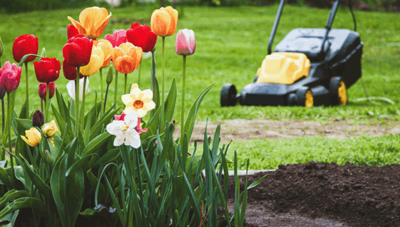 The Importance of Seasonal Clean-Up for Your Landscape