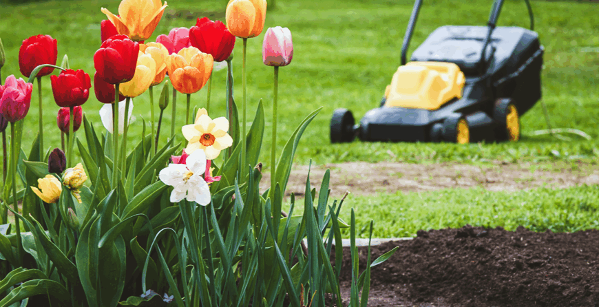 The Importance of Seasonal Clean-Up for Your Landscape