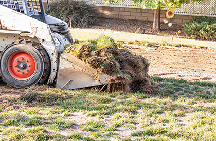 Yard Debris Cleanup and Removal 1 Yard Debris Cleanup and Removal 1