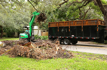 Yard Debris Cleanup and Removal 2 Yard Debris Cleanup and Removal 2