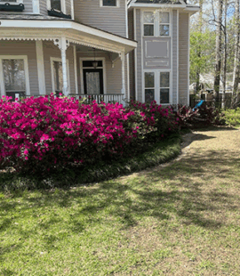spring cleanup 7 spring cleanup 7